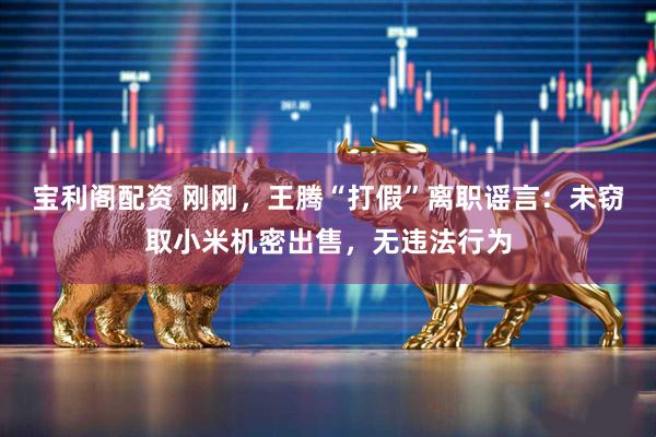 宝利阁配资 刚刚，王腾“打假”离职谣言：未窃取小米机密出售，无违法行为