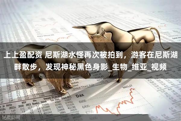 上上盈配资 尼斯湖水怪再次被拍到，游客在尼斯湖畔散步，发现神秘黑色身影_生物_维亚_视频